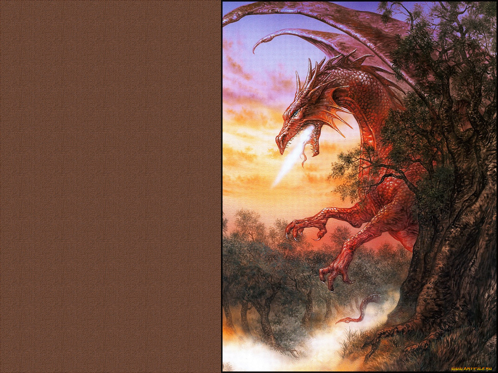 , luis, royo